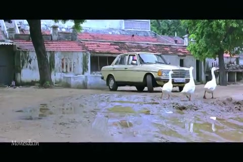 Vaamanan HD Sample.mp4