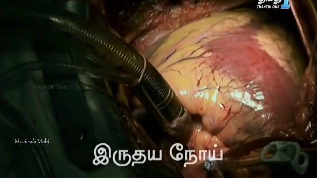 Iru Vizhi Oru Paarvai 2024 HD.mp4